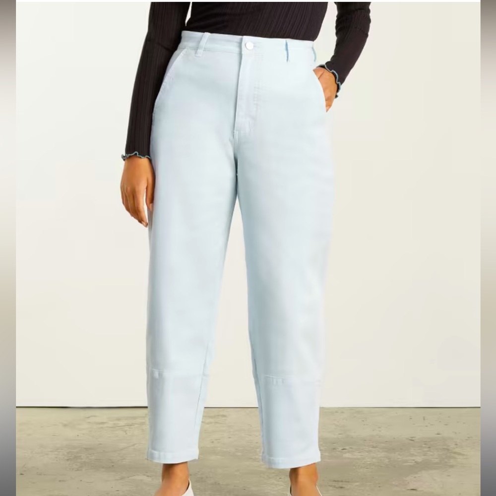 Everlane Barrel Pants Light Blue size 8